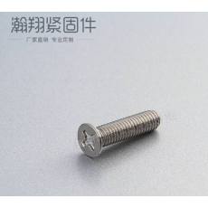 不銹鋼防盜螺絲、十字防盜螺絲