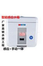 蹲便專用感應(yīng)水箱沖水器、節(jié)水掛墻公共廁所家庭感應(yīng)水箱沖水